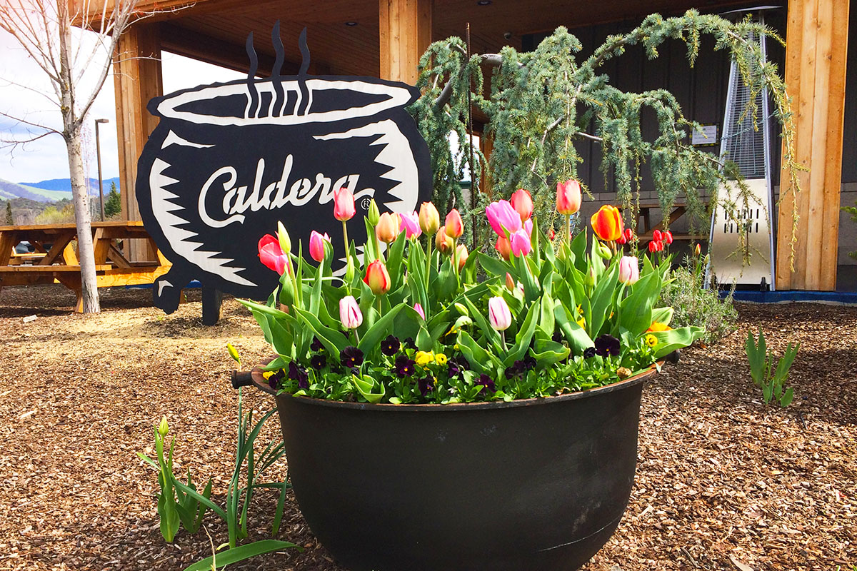 Caldera Brewing sign with tulips